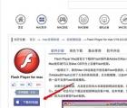 介绍Mac系统Flash无法安装怎么办