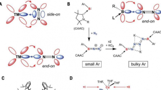 研究人员发现令人惊讶的过渡金属型键同时构建新的钙络合物