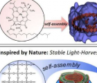 研究人员克服了受生物启发的太阳能收集材料功能化的障碍
