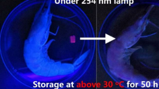 模仿变色龙皮肤的人造变色材料可以检测海鲜的新鲜度