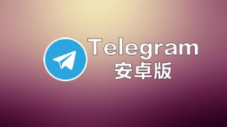 安卓版Telegram现在允许自定义主题