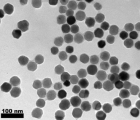 用于生物医学应用的细菌磁性纳米粒子