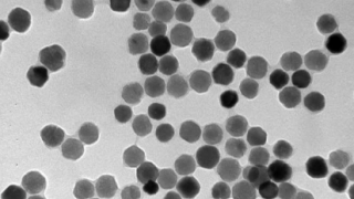 用于生物医学应用的细菌磁性纳米粒子