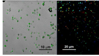 科学家开发出基于钙钛矿纳米晶体的稳定发光复合材料