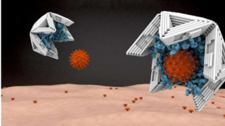 由DNA制成的中空纳米物体可以捕获病毒并使它们无害