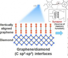 用石墨烯金刚石连接模拟大脑功能