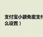 支付宝小额免密支付开启怎么设置（支付宝小额免密支付怎么设置）