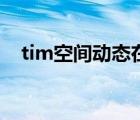 tim空间动态在哪（tim的空间动态在哪）