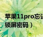 苹果11pro忘记锁屏密码（苹果13pro怎么改锁屏密码）