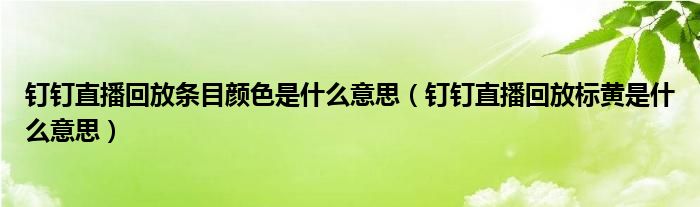 钉钉直播回放条目颜色是什么意思（钉钉直播回放标黄是什么意思）