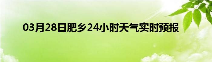 03月28日肥乡24小时天气实时预报