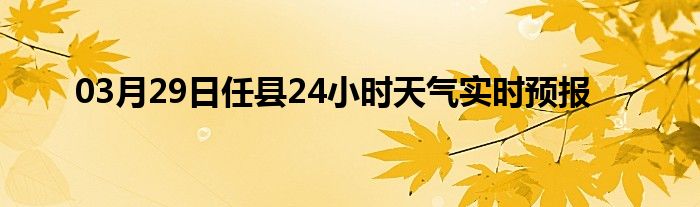 03月29日任县24小时天气实时预报