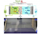 低成本碳氢化合物膜使商业规模的液流电池能够长期储存能量