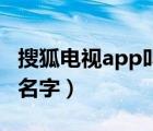 搜狐电视app叫什么名字（搜狐电视端叫什么名字）