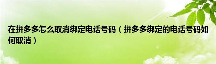 在拼多多怎么取消绑定电话号码（拼多多绑定的电话号码如何取消）