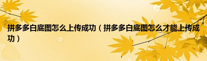 拼多多白底图怎么上传成功（拼多多白底图怎么才能上传成功）