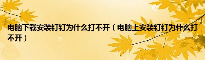 电脑下载安装钉钉为什么打不开（电脑上安装钉钉为什么打不开）