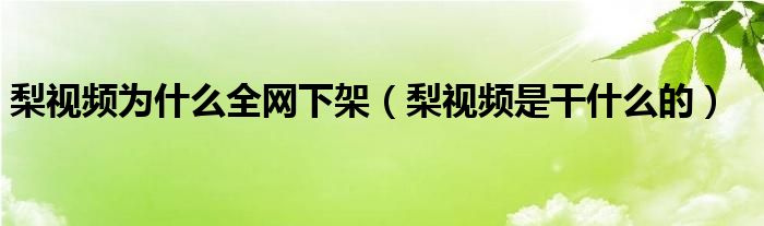 梨视频为什么全网下架（梨视频是干什么的）