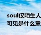 soul仅陌生人可见什么意思（soul仅陌生人可见是什么意思）