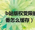 b站版权受限的动漫怎么缓存（b站版权受限番怎么缓存）