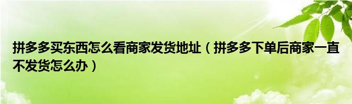 拼多多买东西怎么看商家发货地址（拼多多下单后商家一直不发货怎么办）