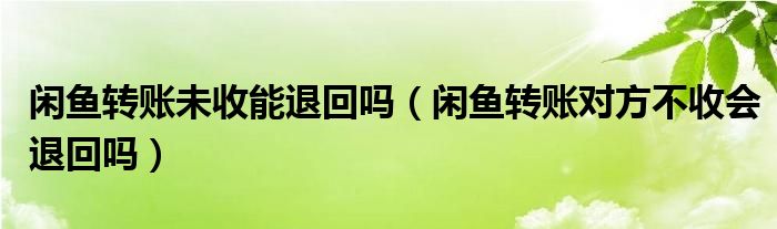 闲鱼转账未收能退回吗（闲鱼转账对方不收会退回吗）