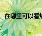 在哪里可以看热搜（热搜是什么在哪里看）