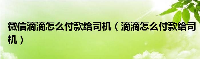 微信滴滴怎么付款给司机（滴滴怎么付款给司机）