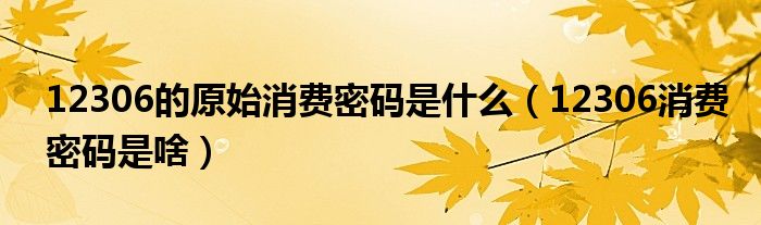 12306的原始消费密码是什么（12306消费密码是啥）