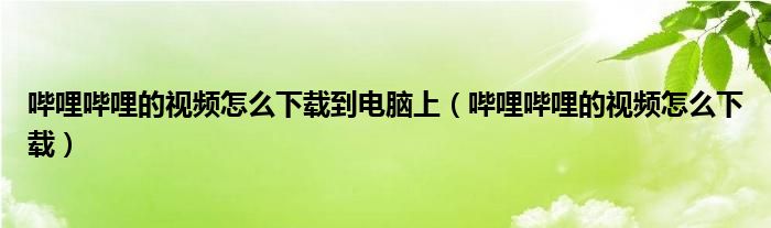 哔哩哔哩的视频怎么下载到电脑上（哔哩哔哩的视频怎么下载）