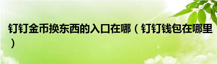 钉钉金币换东西的入口在哪（钉钉钱包在哪里）