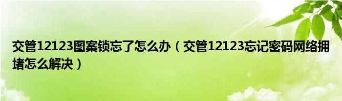 交管12123图案锁忘了怎么办（交管12123忘记密码网络拥堵怎么解决）