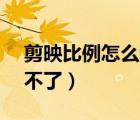 剪映比例怎么调9:16（剪映比例9.16怎么调不了）