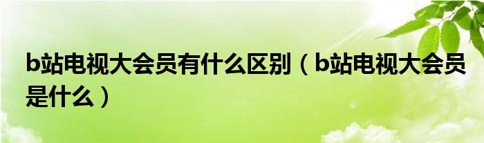 b站电视大会员有什么区别（b站电视大会员是什么）