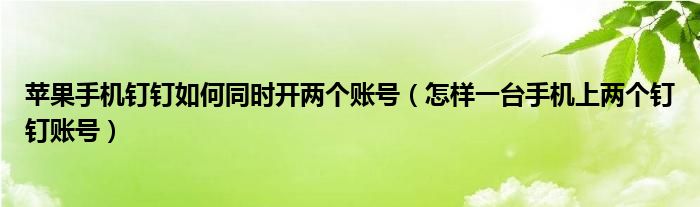 苹果手机钉钉如何同时开两个账号（怎样一台手机上两个钉钉账号）