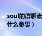 soul的群聊流什么意思（soul被限制群聊是什么意思）