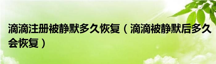 滴滴注册被静默多久恢复（滴滴被静默后多久会恢复）