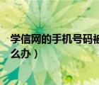 学信网的手机号码被注册了怎么办（学信网手机号被注册怎么办）