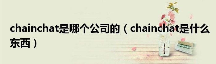 chainchat是哪个公司的（chainchat是什么东西）