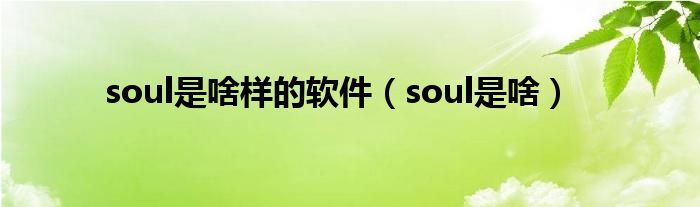 soul是啥样的软件（soul是啥）