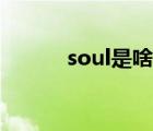 soul是啥样的软件（soul是啥）