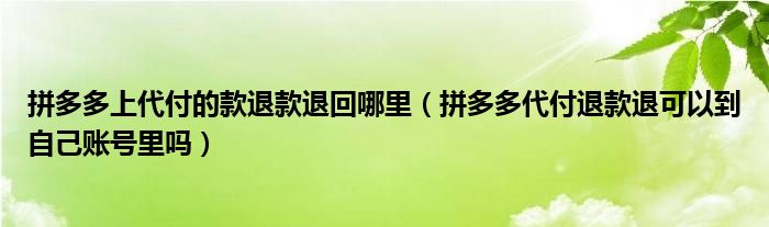 拼多多上代付的款退款退回哪里（拼多多代付退款退可以到自己账号里吗）