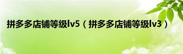 拼多多店铺等级lv5（拼多多店铺等级lv3）