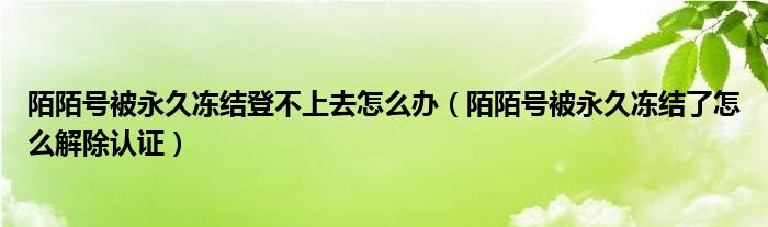 陌陌号被永久冻结登不上去怎么办（陌陌号被永久冻结了怎么解除认证）