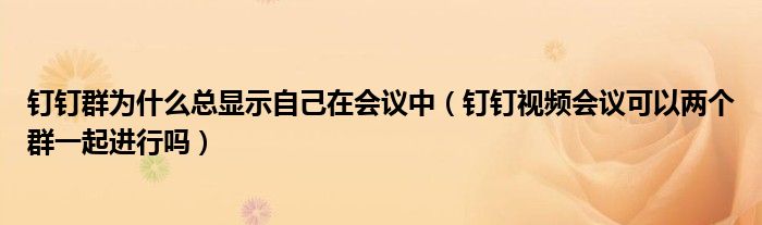 钉钉群为什么总显示自己在会议中（钉钉视频会议可以两个群一起进行吗）