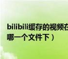 bilibili缓存的视频在哪个文件（bilibili下载的视频存在手机哪一个文件下）