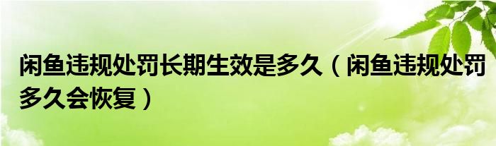 闲鱼违规处罚长期生效是多久（闲鱼违规处罚多久会恢复）