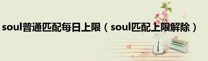 soul普通匹配每日上限（soul匹配上限解除）