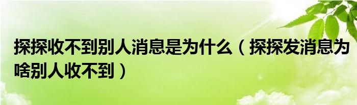 探探收不到别人消息是为什么（探探发消息为啥别人收不到）