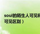 soul的陌生人可见和广场可见区别（soul陌生人可见和广场可见区别）